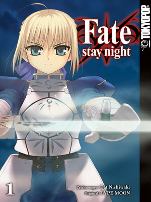 cover image of Fate/stay night--Einzelband 01